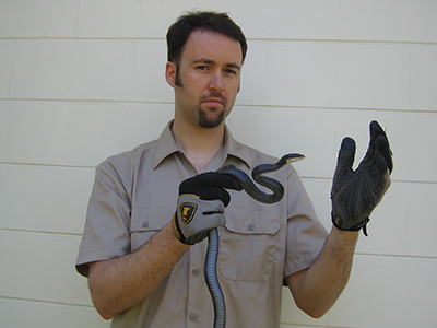 Snake Removal